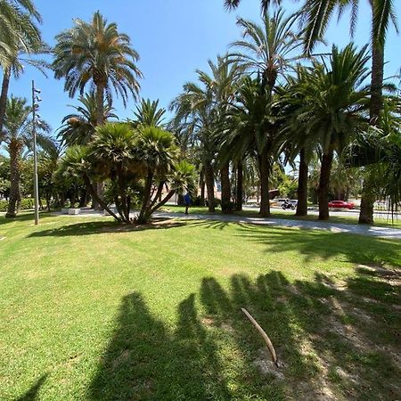 Tropical Loft Lägenhet Alicante Exteriör bild