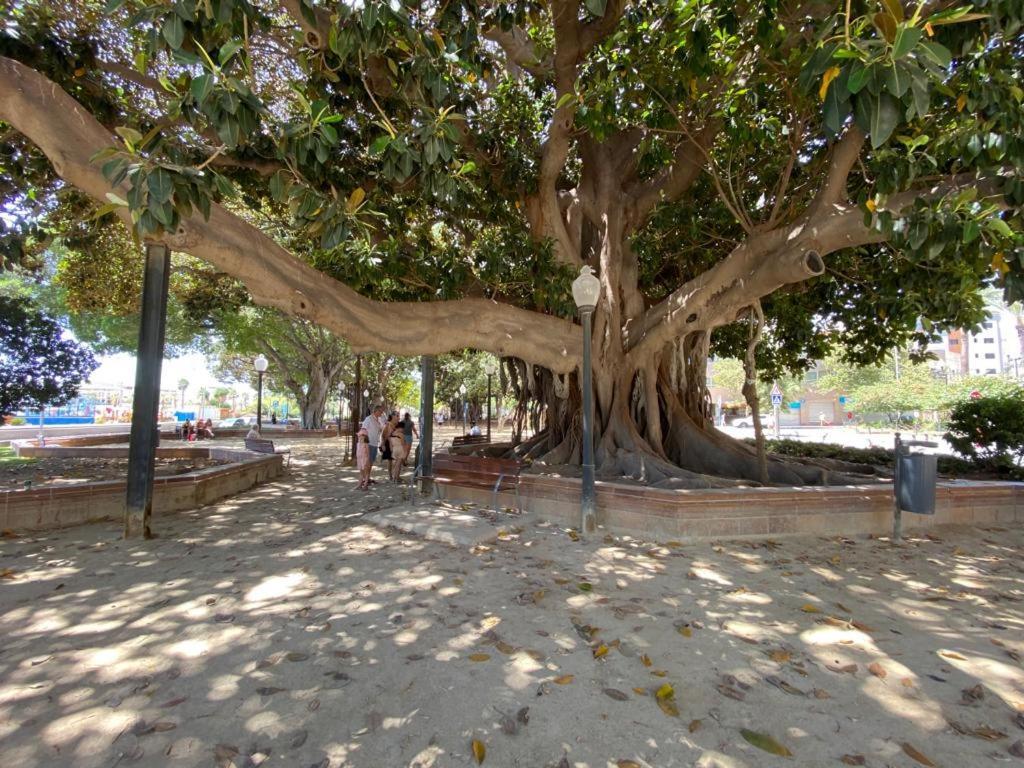Tropical Loft Lägenhet Alicante Exteriör bild