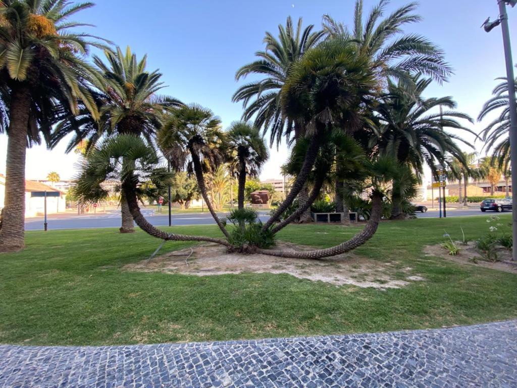 Tropical Loft Lägenhet Alicante Exteriör bild